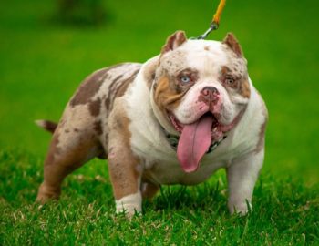 259137621_3016133815291768_6787876945943022722_n