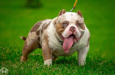 259137621_3016133815291768_6787876945943022722_n